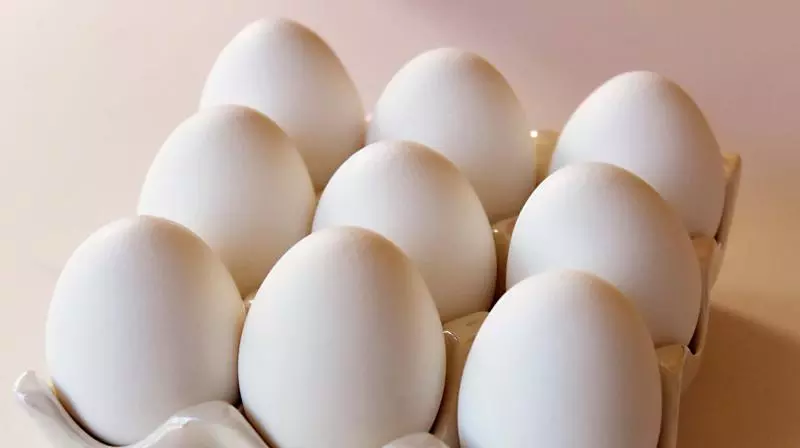 Eggs Missing From Mid-Day Meals As Price Urge Hits Agencies Eggs Missing From Mid-Day Meals As Price Urge Hits Agencies