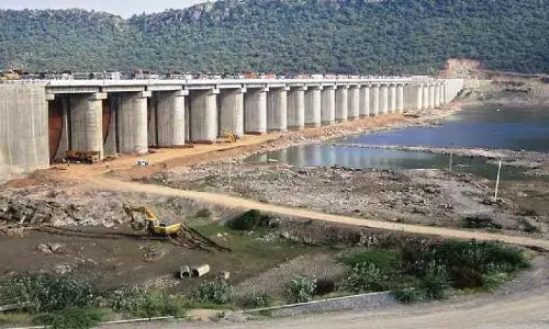 Projects Run Dry, Cropping Activity Hit Across Rayalaseema