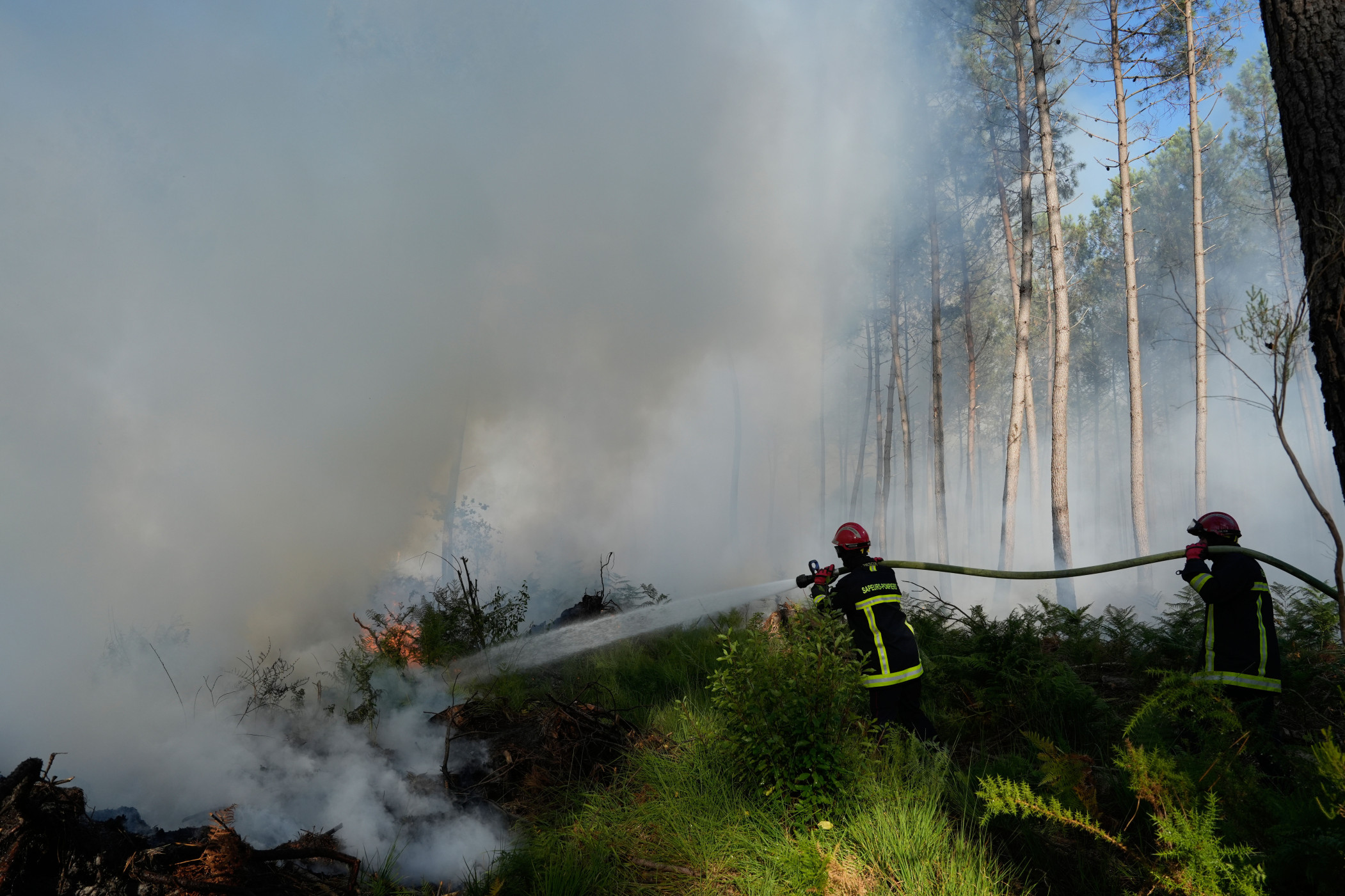France and Spain Battle Worst Wildfires in Living Memory
