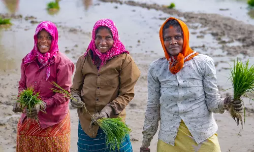 July Rainfall Pick-Up Positive For Farm Growth, Rural Incomes: Report July Rainfall Pick-Up Positive For Farm Growth, Rural Incomes: Report