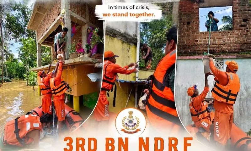 Second Wave of Floods Inundates Odisha’s Bhadrak, Farmer Rescued After 24 Hours Atop Palm Tree Second Wave of Floods Inundates Odisha’s Bhadrak, Farmer Rescued After 24 Hours Atop Palm Tree