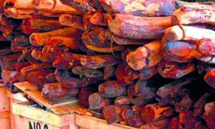 Tamil Nadu Smuggler Sentenced to Five Years in Prison
