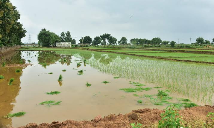 BRS Says Water Must Be Supplied For Farming Too