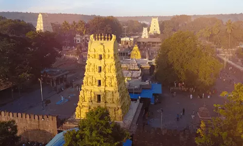 Image 7: Srisailam Temple: Online Booking Disrupted, Endowments Dept To Take Action