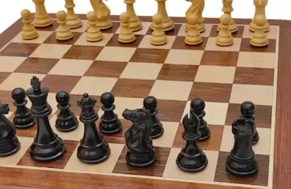 Chennai Boys Grab Chess Honours Chennai Boys Grab Chess Honours