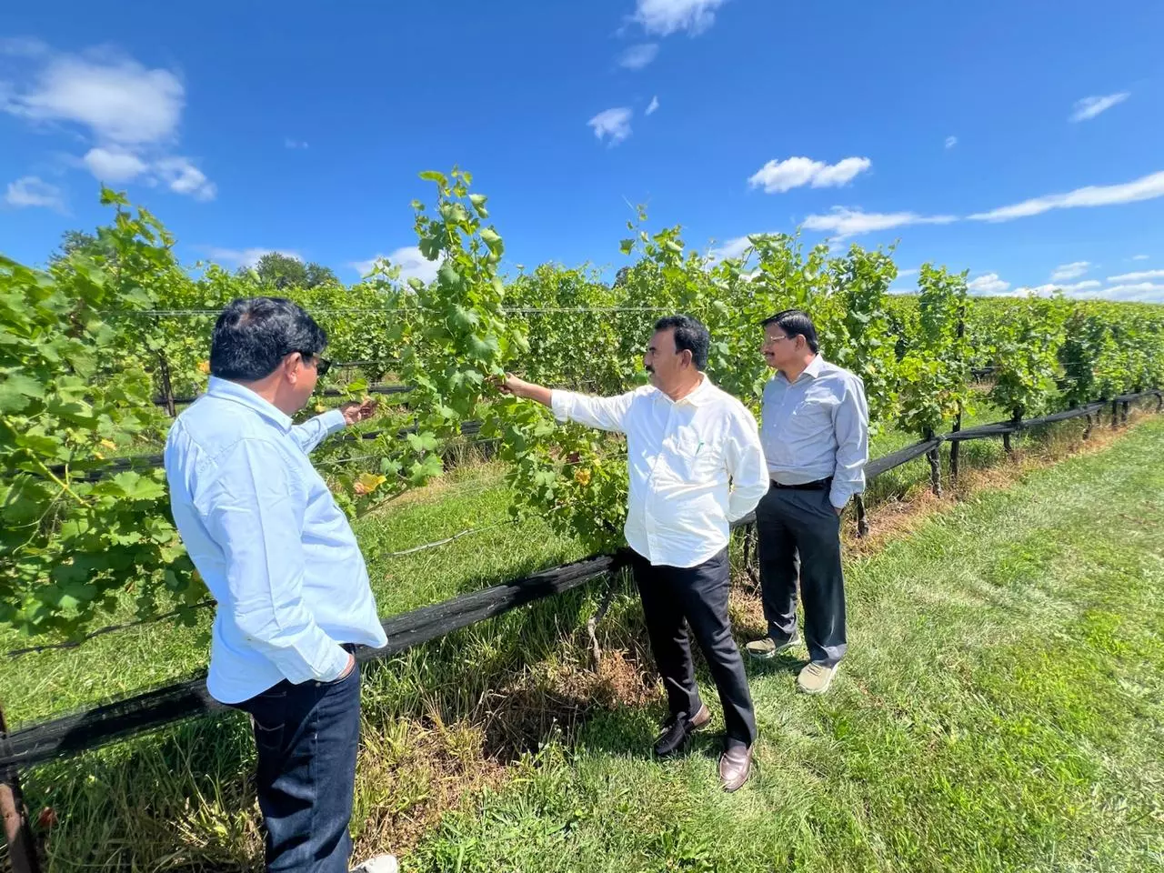 Telangana Explores Wine Tourism in Rangareddy, Vikarabad After U.S. Study Tour Telangana Explores Wine Tourism in Rangareddy, Vikarabad After U.S. Study Tour