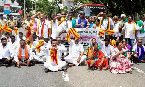 Kannada Outfits, Farmers Stage Demonstration Near KRS Dam