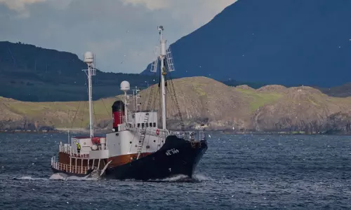 Anti-Whaling Ship Seized Off Iceland Coast: Activist Group Confirms Anti-Whaling Ship Seized Off Iceland Coast: Activist Group Confirms