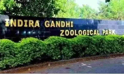 Pawan Kalyans Wife Adopts elephant, Tiger at Vizag Zoo Pawan Kalyans Wife Adopts elephant, Tiger at Vizag Zoo