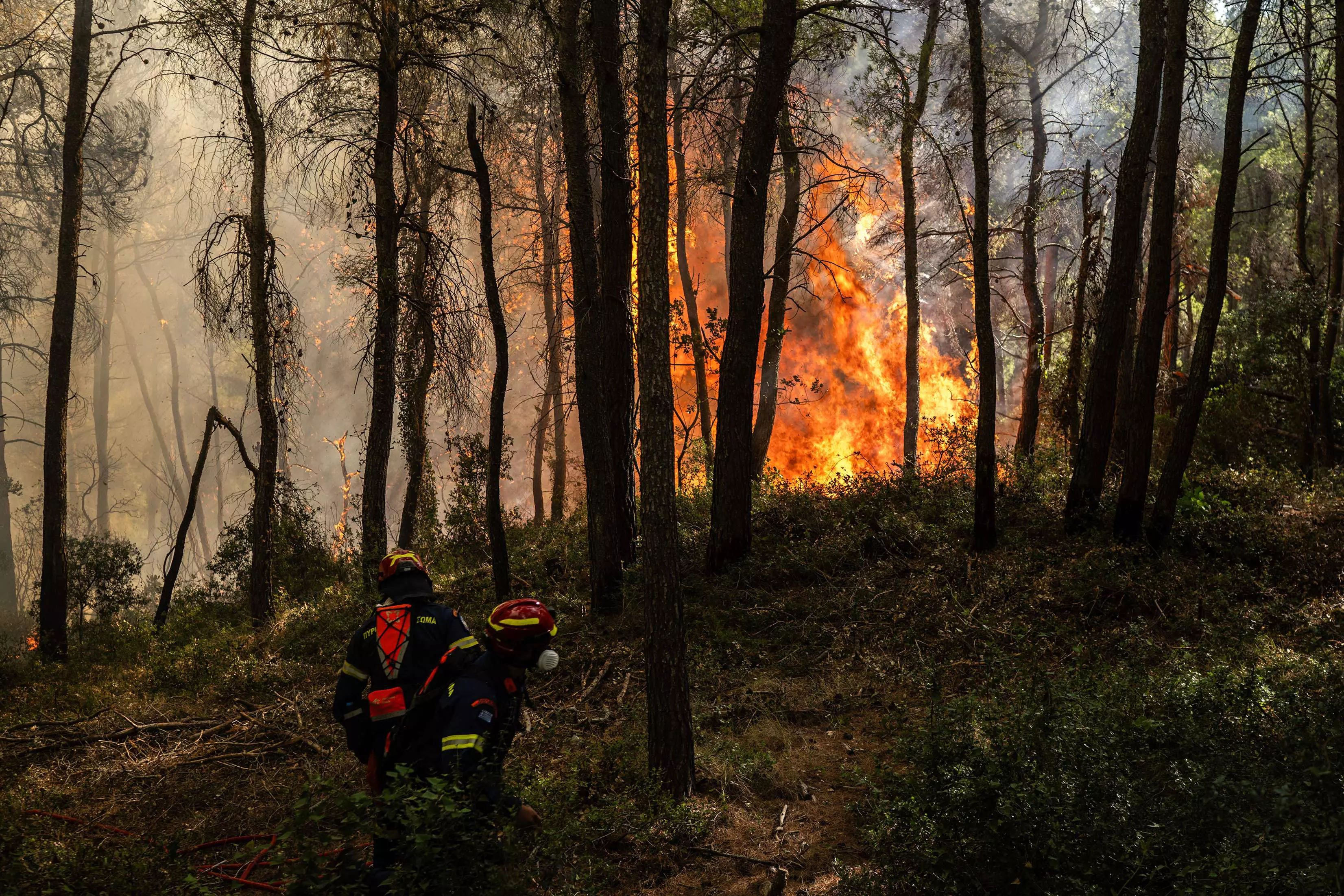 Greece Battles Wildfires, Hungary Shuts Nuclear Power Plant Due To Drought Greece Battles Wildfires, Hungary Shuts Nuclear Power Plant Due To Drought