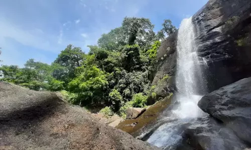 Tamil Tourists Swept Away at Kerala Waterfall, Rescue Efforts On