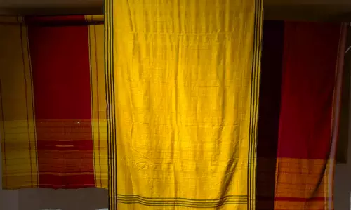 The Registry of Sarees: Where Every Thread Holds a Story