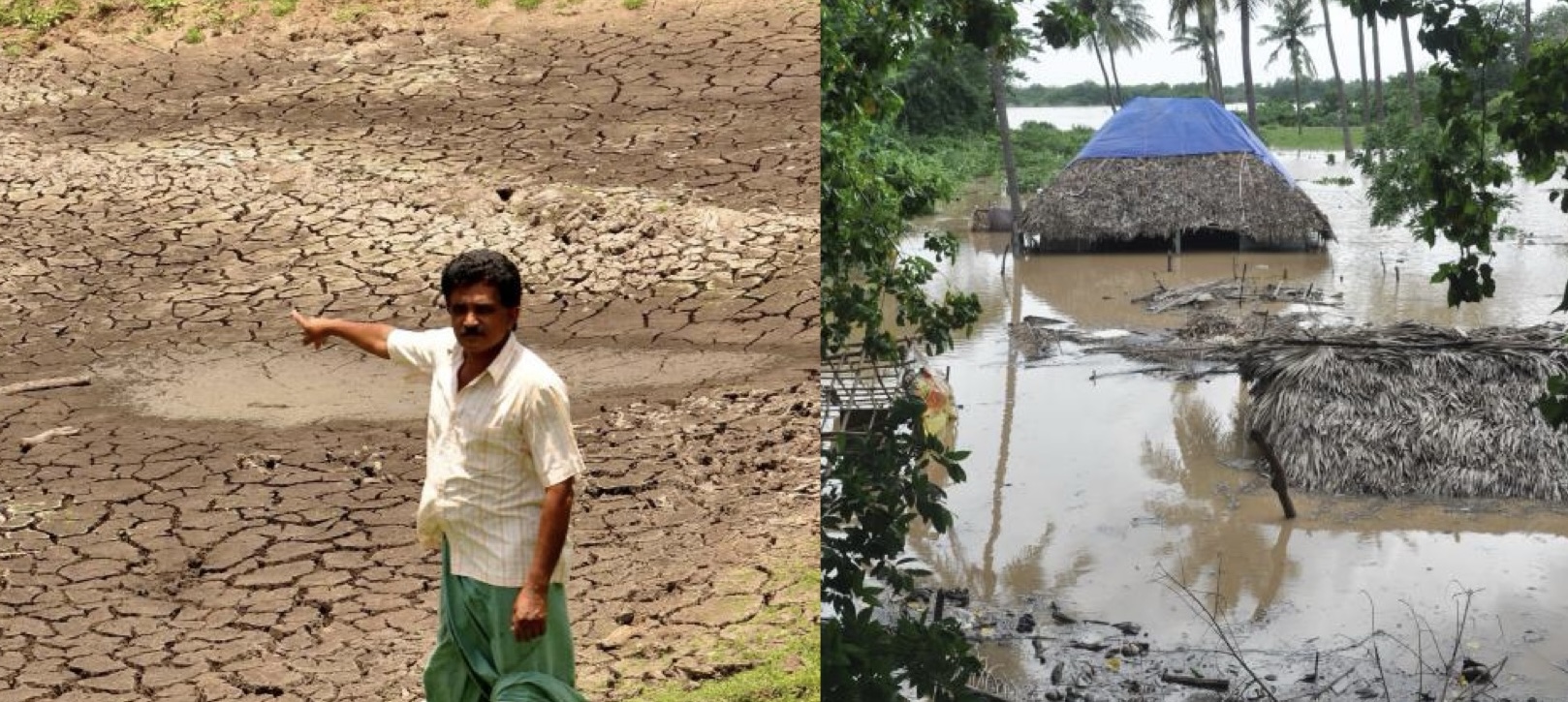 Floods Ravage Lowlands as Uplands Face Water Scarcity in Undivided Warangal