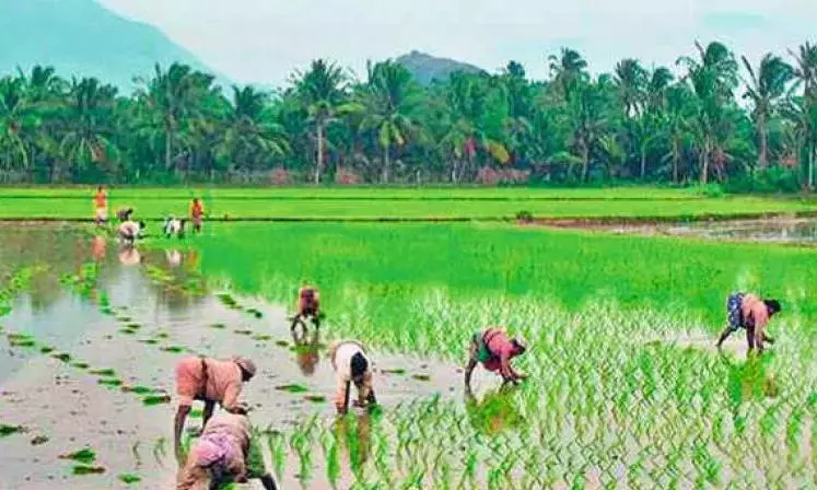 Farmers Protest in Eluru, Seek Water for Krishna Delta Fields Farmers Protest in Eluru, Seek Water for Krishna Delta Fields