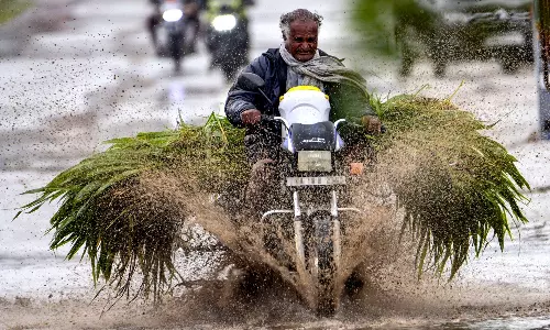Heavy Rains Lash Across Coastal Karnataka; Hakladi records 189 mm