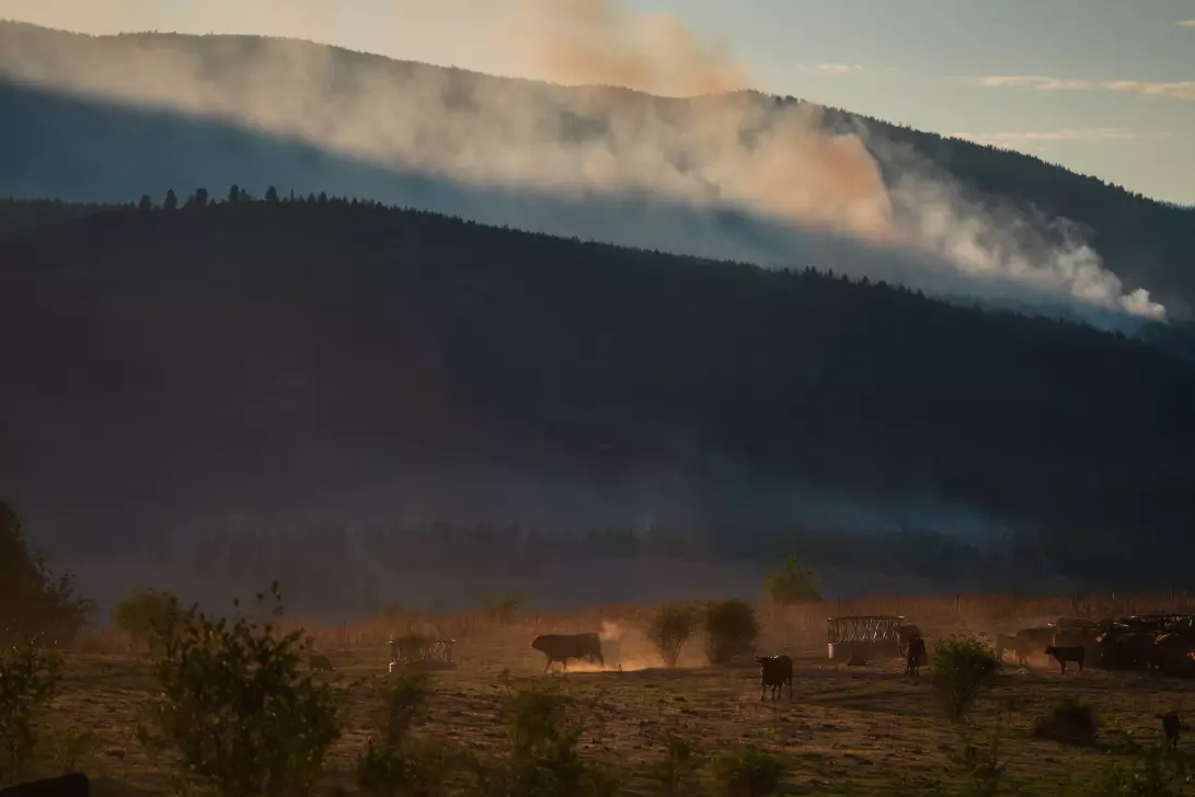 Wildfire Destroys Around 230 Homes in Western Canada Indigenous Community Wildfire Destroys Around 230 Homes in Western Canada Indigenous Community