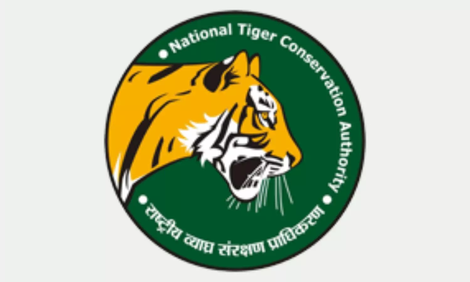 Telangana Yet to Unlock Tiger Reserve Economy Despite Vast Forest Wealth Telangana Yet to Unlock Tiger Reserve Economy Despite Vast Forest Wealth