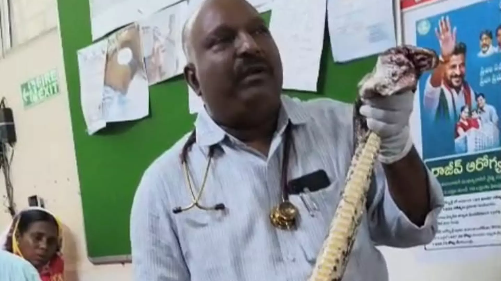 Woman Injured in Python Attack Woman Injured in Python Attack