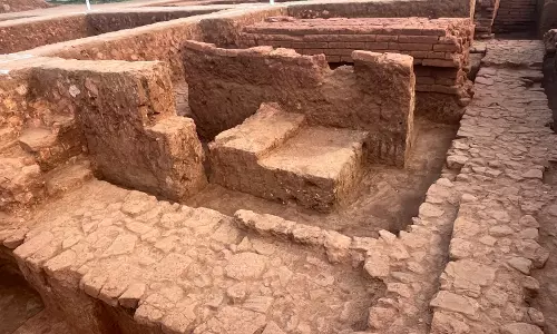 Buddhist Excavation Near Bengaluru Hits Land Acquisition Hurdle