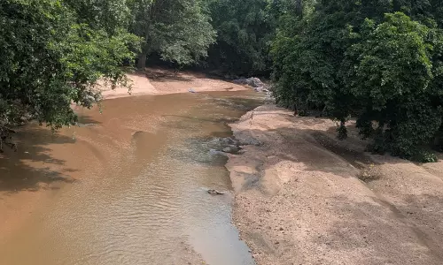 Telangana: Kawal Tiger Reserve Affected By Illegal Sand Mining From Streams, Rivulets Telangana: Kawal Tiger Reserve Affected By Illegal Sand Mining From Streams, Rivulets
