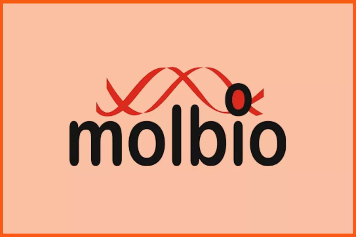 Molbio Diagnostics Rs 940 Crore IPO From Aug 10 Molbio Diagnostics Rs 940 Crore IPO From Aug 10