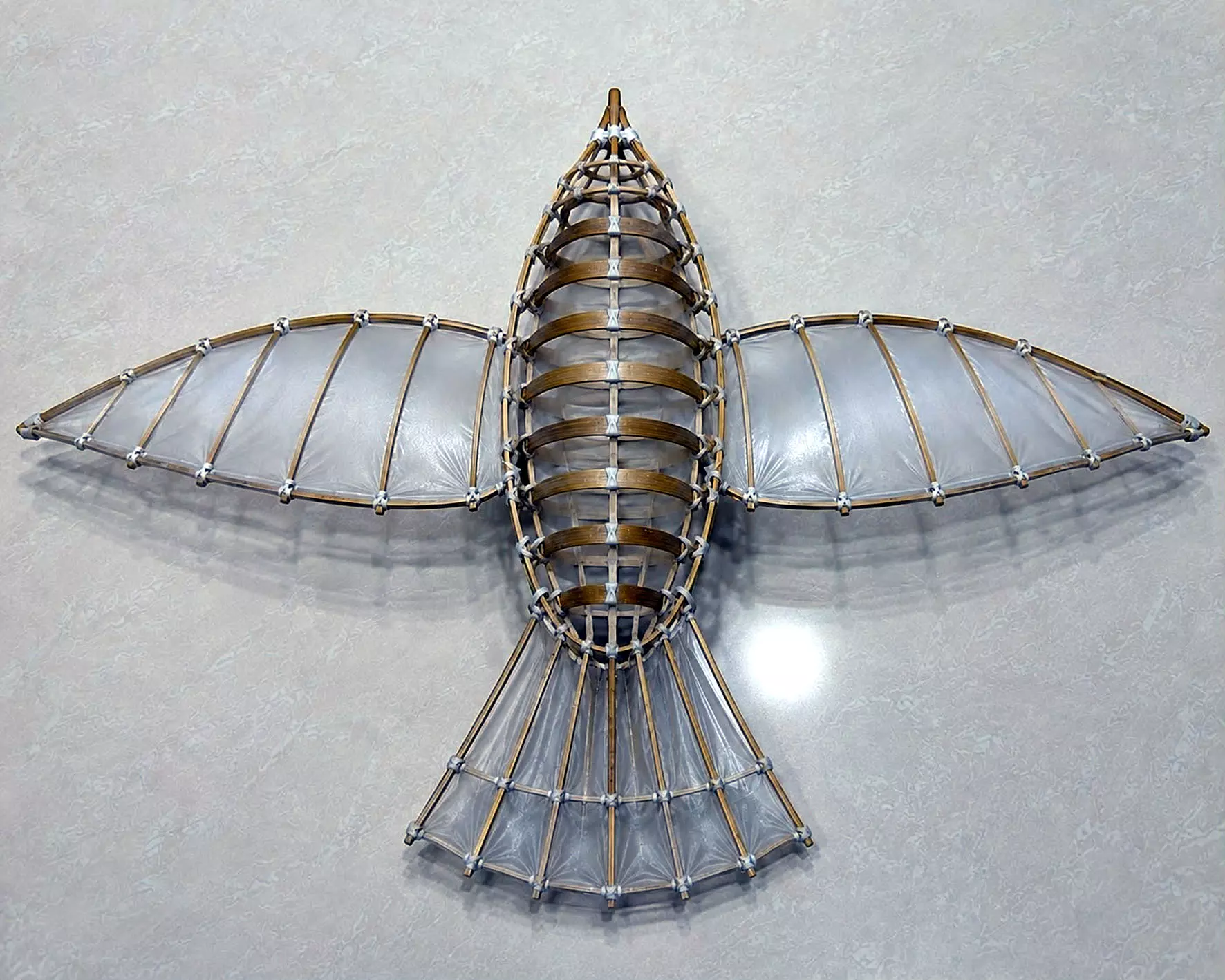 AU Students Develop Bio-Inspired Ornithopter AU Students Develop Bio-Inspired Ornithopter
