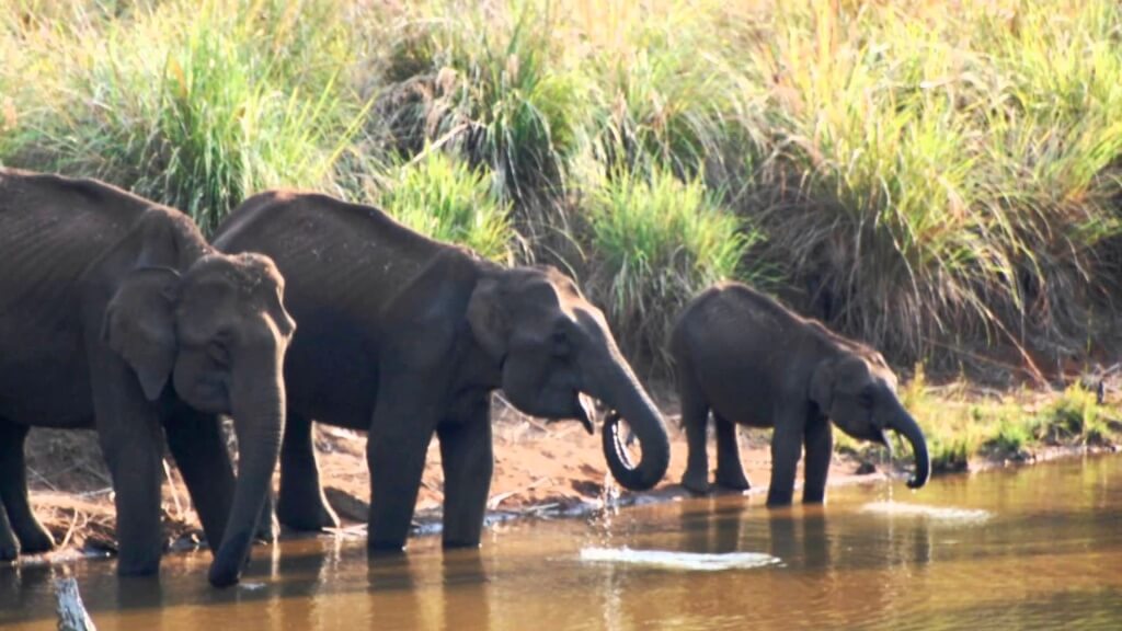Look What's Affected By Climate Change, Global Warming