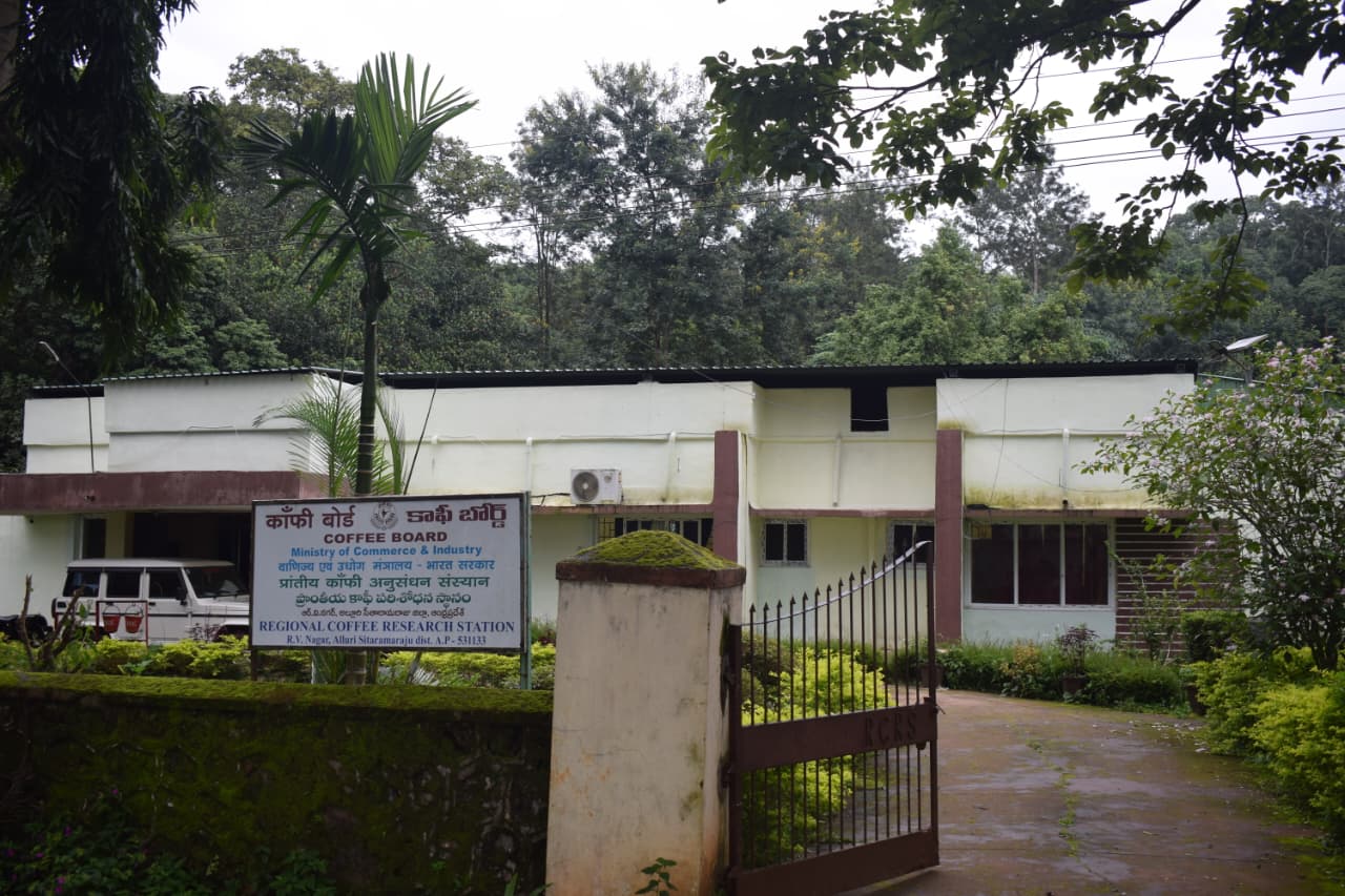 Araku Coffee Board Sets Sights on 50,000 Tonnes by 2047