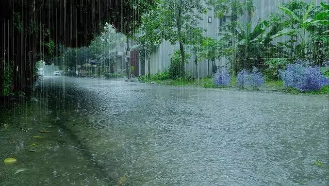 Mumbai: Heavy Rain Lashes Mumbai, Thane, Palghar Mumbai: Heavy Rain Lashes Mumbai, Thane, Palghar