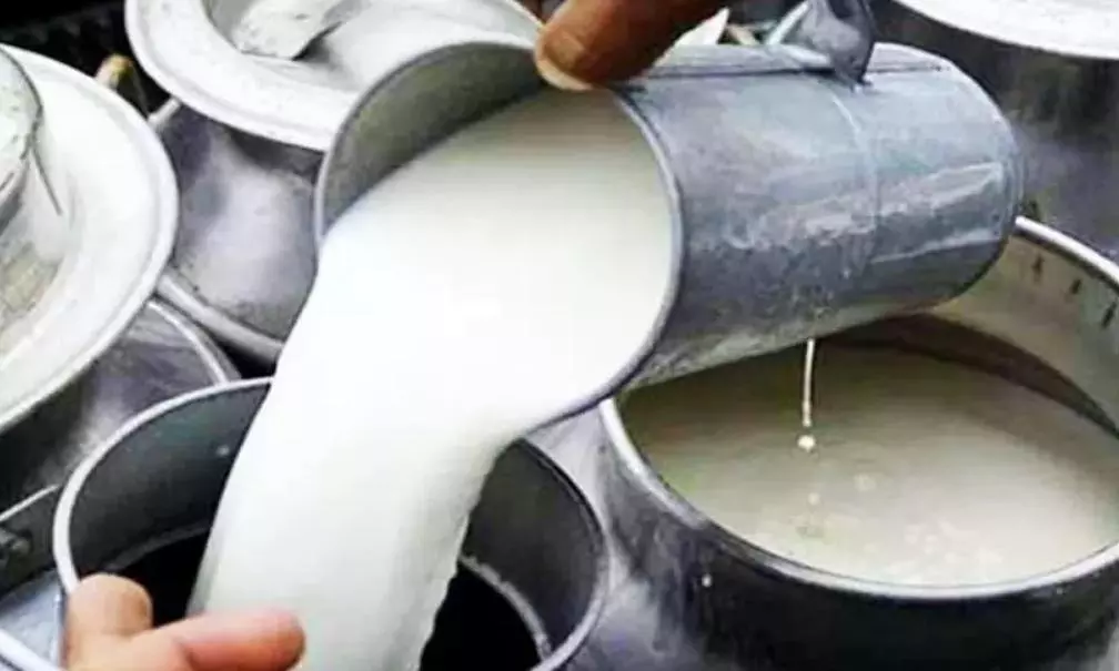 Milk Prices in Maharashtra to Rise By Rs.2 Per Litre from August 11 Milk Prices in Maharashtra to Rise By Rs.2 Per Litre from August 11