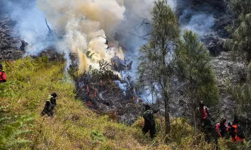 Indonesia Closes All Access To Mount Bromo As Wildfire expands