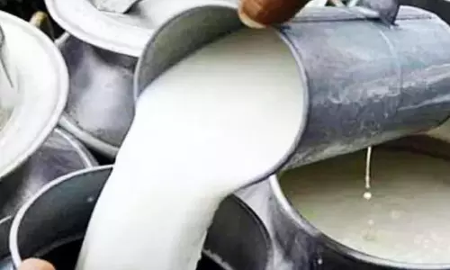 Vijaya Dairy Hikes Milk Prices by Re. 1 From October 17