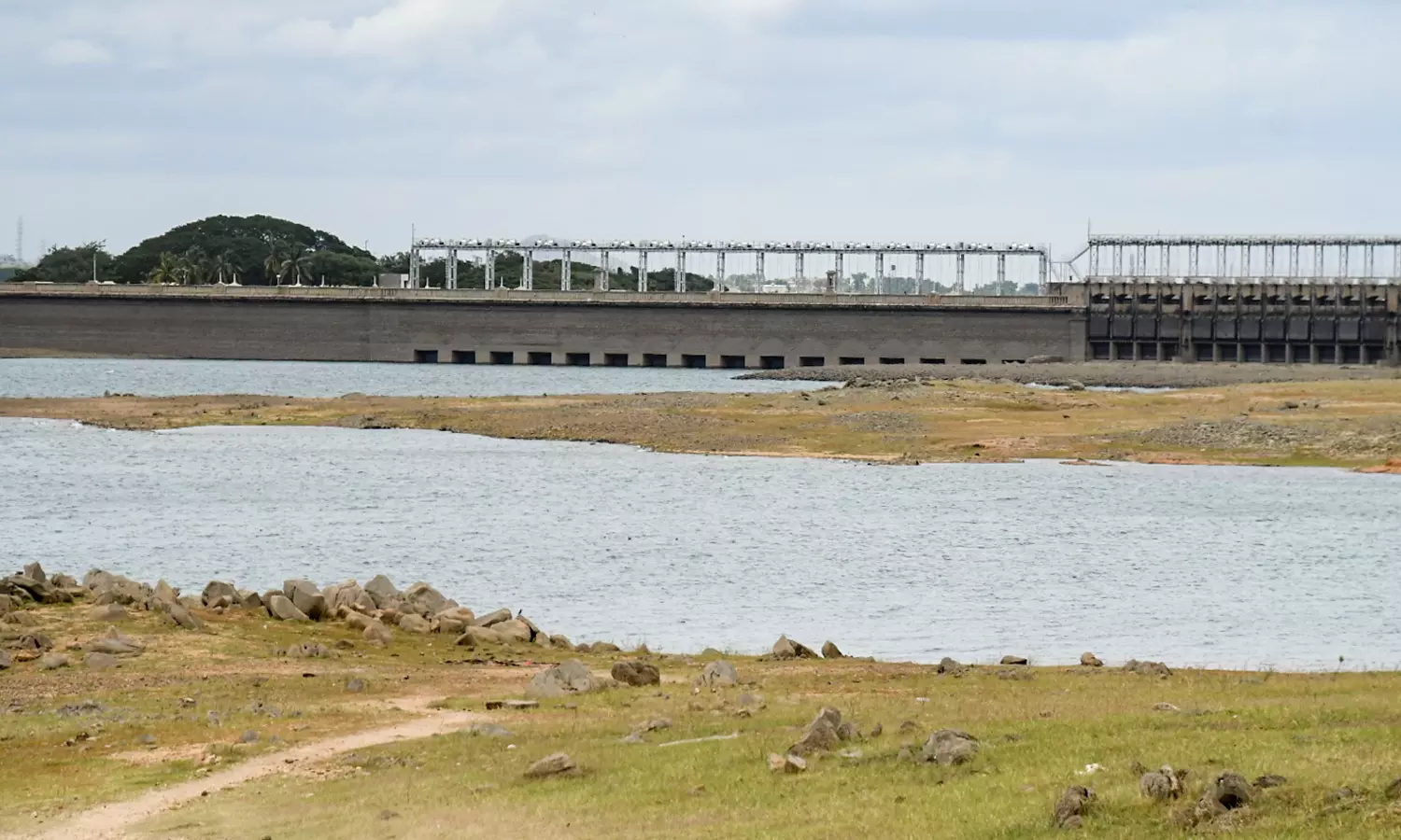 SC to Hear Tamil Nadu's Plea for Cauvery Water Release on August 13