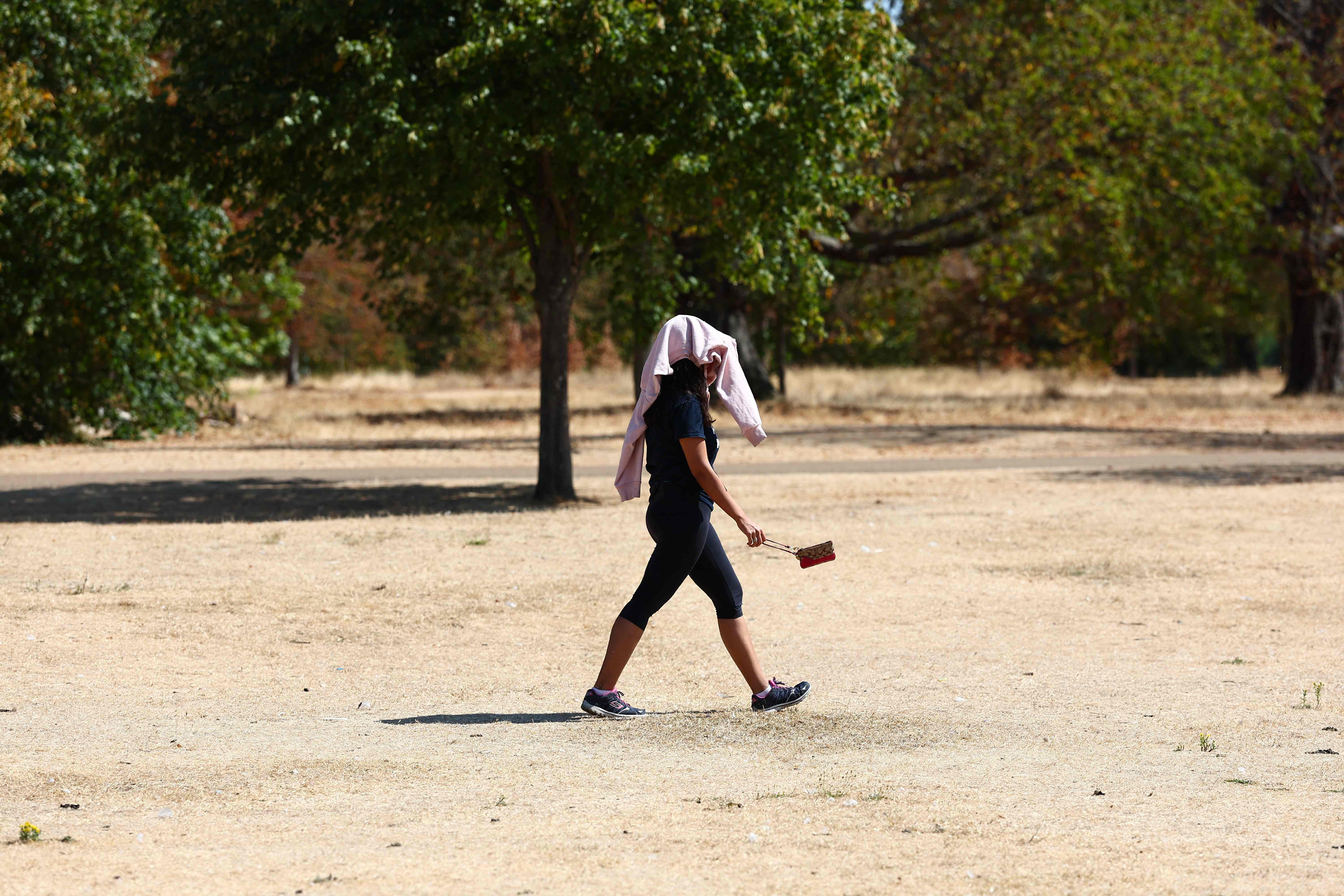 Western Europe Sets New Temperature Record Amid Heat Wave