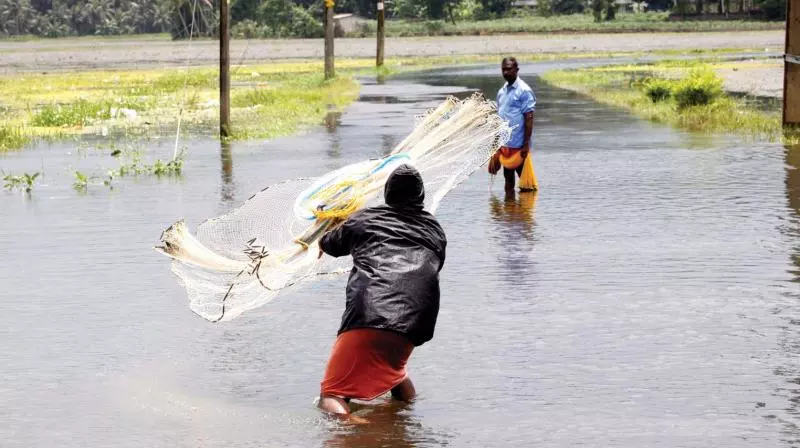 Telangana Clears Group Accident Insurance Scheme for 4.21 Lakh Fishermen Telangana Clears Group Accident Insurance Scheme for 4.21 Lakh Fishermen