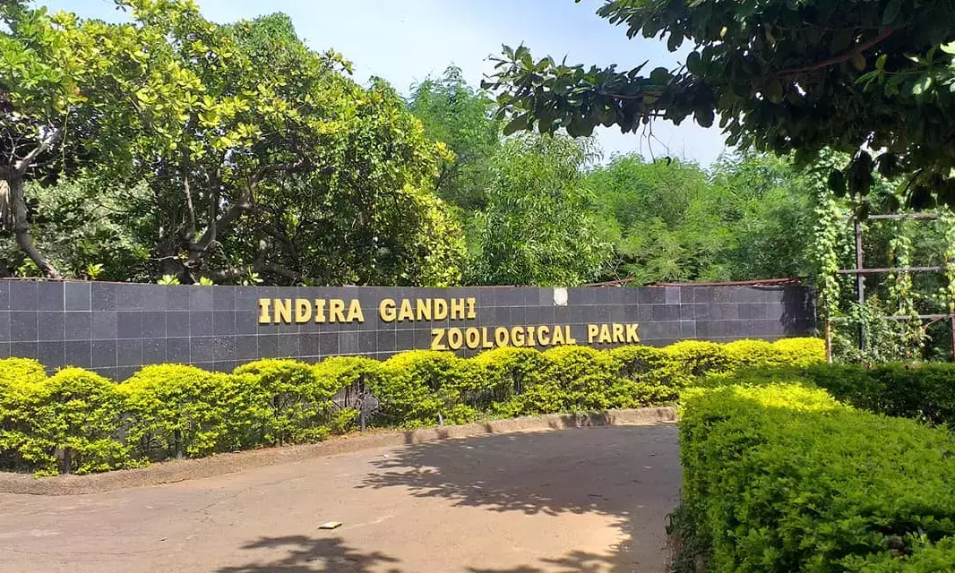 Animal Lovers Fund Adoption of Five Animals at Vizag Zoo Animal Lovers Fund Adoption of Five Animals at Vizag Zoo