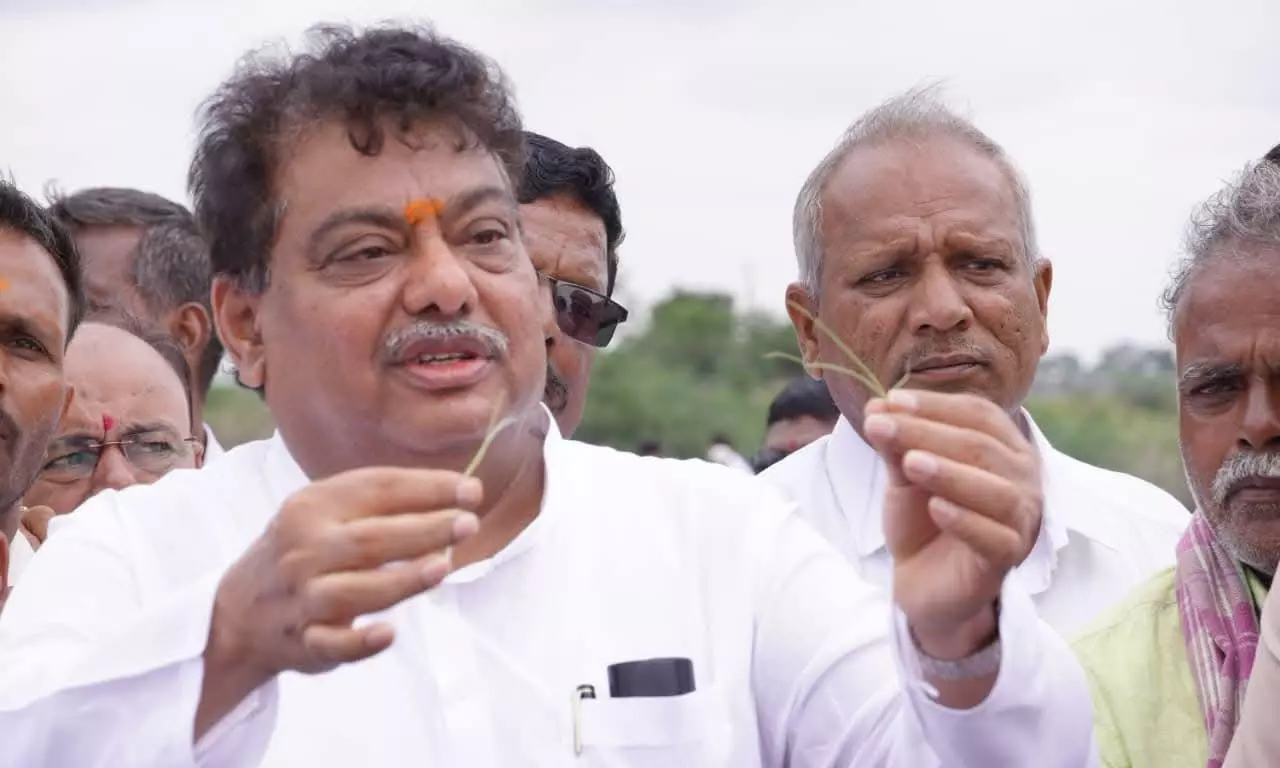 MB Patil Seeks Scientific Report On Crop Damage In Vijayapura MB Patil Seeks Scientific Report On Crop Damage In Vijayapura