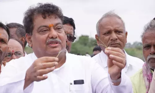 MB Patil Seeks Scientific Report On Crop Damage In Vijayapura MB Patil Seeks Scientific Report On Crop Damage In Vijayapura
