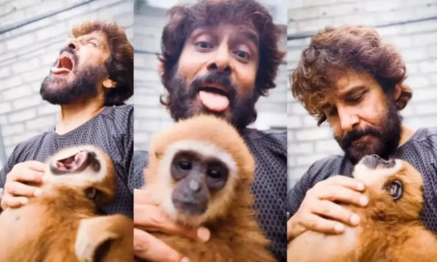 Wildlife Officials Probe Origin of Lar Gibbon in Actor Vikrams Video Wildlife Officials Probe Origin of Lar Gibbon in Actor Vikrams Video