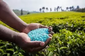 AP Has Adequate Subsidised Fertiliser Stocks, Centre Tells Rajya Sabha AP Has Adequate Subsidised Fertiliser Stocks, Centre Tells Rajya Sabha