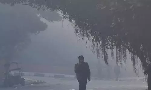 Nagpur Breathed Unsafe Air Half The Summer: CREA Reports Nagpur Breathed Unsafe Air Half The Summer: CREA Reports