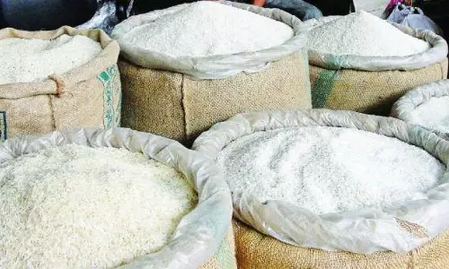EG Stands Second In Rice Sales Through Government Outlets EG Stands Second In Rice Sales Through Government Outlets