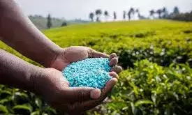 AP Has Adequate Subsidised Fertiliser Stocks, Centre Tells Rajya Sabha AP Has Adequate Subsidised Fertiliser Stocks, Centre Tells Rajya Sabha