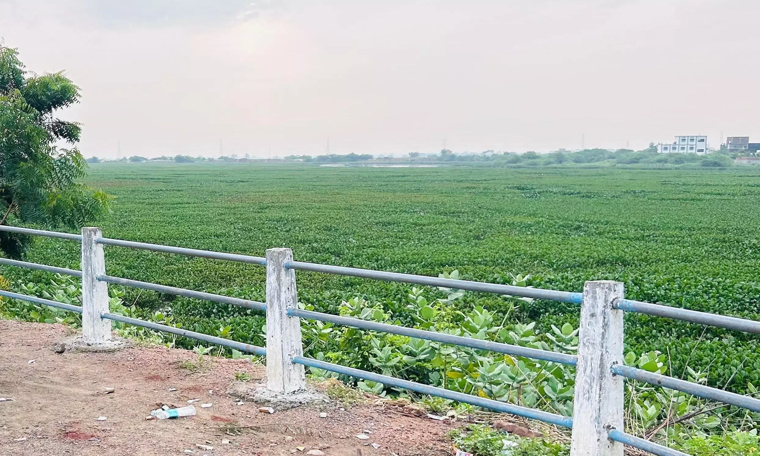 Khanapur Tank To Be Developed As Mini-Tank Bund With Rs 68 Crore Khanapur Tank To Be Developed As Mini-Tank Bund With Rs 68 Crore
