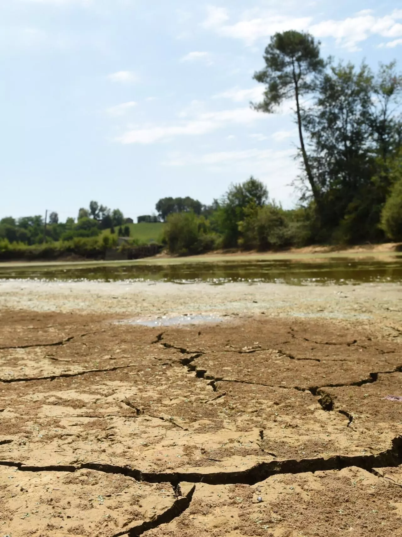 How The Hard Reality Of Climate Change Hit Europes Economy This Summer How The Hard Reality Of Climate Change Hit Europes Economy This Summer