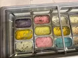 600 Spoiled Ice Creams Discarded At Karimnagar Dairy In Jagtial 600 Spoiled Ice Creams Discarded At Karimnagar Dairy In Jagtial