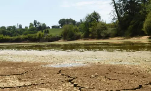 How The Hard Reality Of Climate Change Hit Europes Economy This Summer