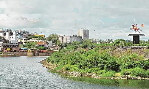 Ancient Blueprint for a Greener Tomorrow