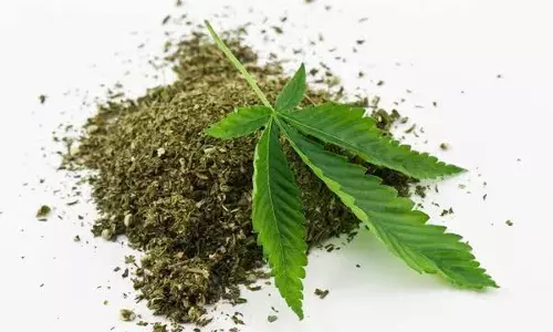 Ganja Suppliers Stab Police Personnel, Set Their Dog On Raiding Party In Fathenagar, Balanagar