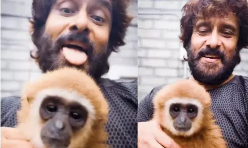 Tamil Star Vikram Lands in Trouble Over Lar Gibbon Tamil Star Vikram Lands in Trouble Over Lar Gibbon